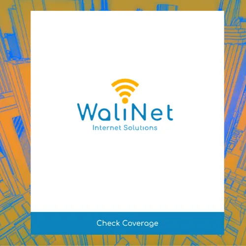 WaliNet old ad creative